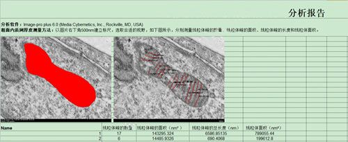 電鏡測(cè)量分析