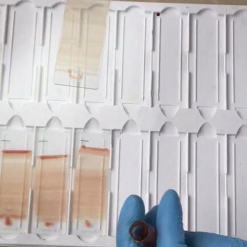 細(xì)胞爬片&滴片