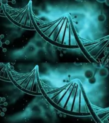 各類組織常規取材部位選擇菜單